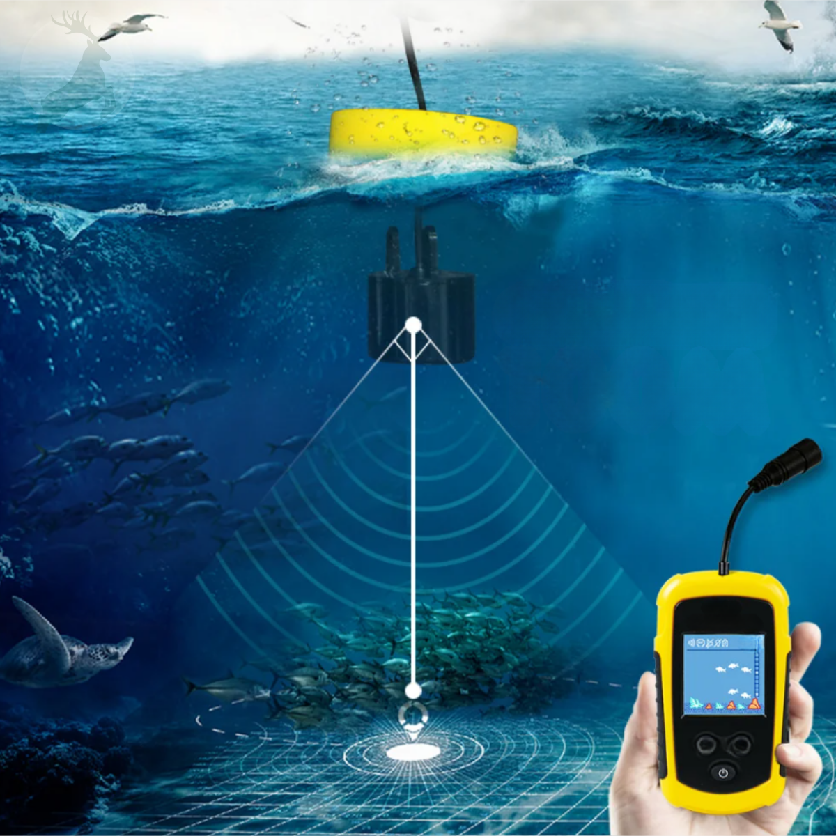 Sonar Fish Finder